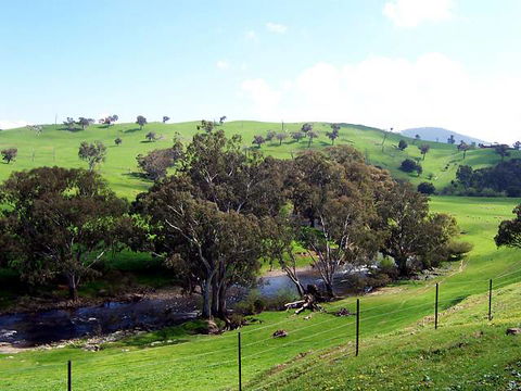 Elm Cottage - Tumut - Northern Rivers Accommodation 4