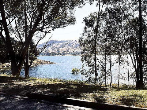 Ibis Styles Albury Lake Hume Resort - Northern Rivers Accommodation 1