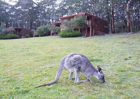 Jenolan Caves Cottages - Northern Rivers Accommodation 0