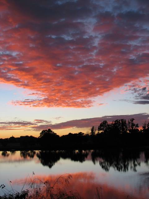 Yessabah NSW Northern Rivers Accommodation
