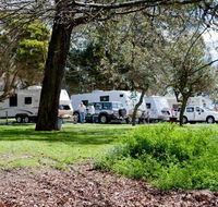 Moss Vale Village Caravan Park - Northern Rivers Accommodation