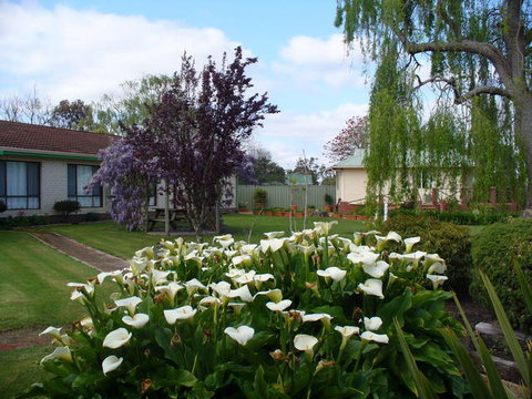 Mount Barker Valley Views Motel And Chalets - Northern Rivers Accommodation 1