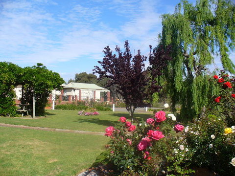 Mount Barker Valley Views Motel And Chalets - Northern Rivers Accommodation 2