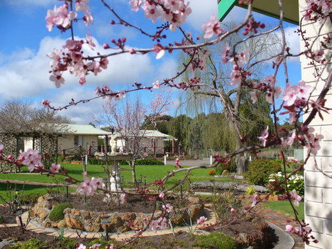 Mount Barker Valley Views Motel And Chalets - Northern Rivers Accommodation 3