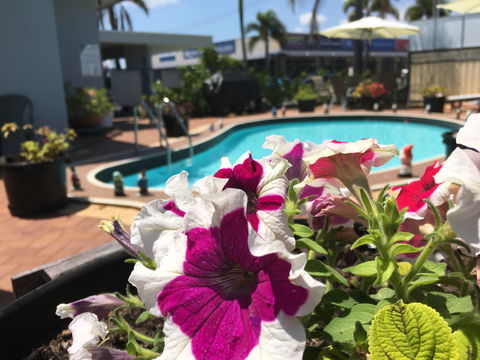 Main Street Motel - Northern Rivers Accommodation 0