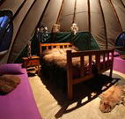 Aranyani Bison Adventure Tourist Park - Northern Rivers Accommodation