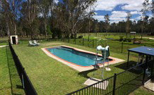 Aranyani Bison Adventure Tourist Park - Northern Rivers Accommodation 4