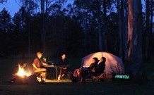 Aranyani Bison Adventure Tourist Park - Northern Rivers Accommodation 2