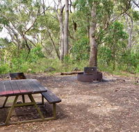 Bark Hut picnic area and campground - Northern Rivers Accommodation