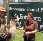 Bendemeer Tourist Park - Northern Rivers Accommodation