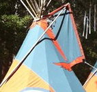 Central Coast Eco Tours - Northern Rivers Accommodation