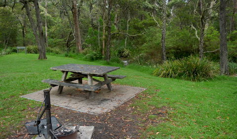 Chaelundi Campground - Northern Rivers Accommodation 0