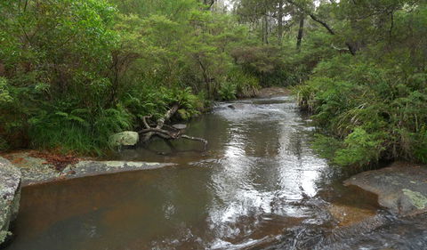 Chaelundi Campground - Northern Rivers Accommodation 1