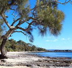Currarong Beachside Holiday Park - Northern Rivers Accommodation