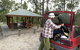 Cypress-pine Campground - thumb 0