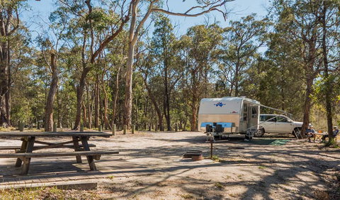 Cypress-pine Campground - Northern Rivers Accommodation 1