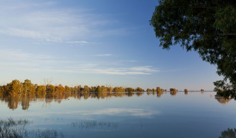 Darling River Campground - Northern Rivers Accommodation 2