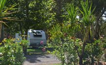 Darlington Point Riverside Caravan Park - Northern Rivers Accommodation 1