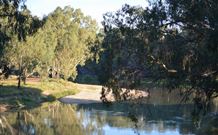 Darlington Point Riverside Caravan Park - Northern Rivers Accommodation 2