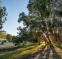 Delicate campground - Northern Rivers Accommodation