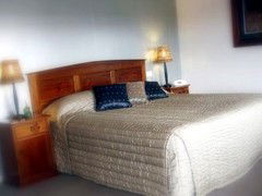 Saltbush Motor Inn - Northern Rivers Accommodation 4