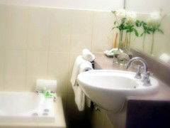 Saltbush Motor Inn - Northern Rivers Accommodation 5