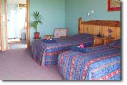 Trade Winds Country Cottages - Northern Rivers Accommodation 1