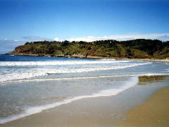 Walkabout Holiday House - Northern Rivers Accommodation 4