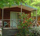 Wombeyan Caves Caravan & Camping Reserve - Northern Rivers Accommodation 1