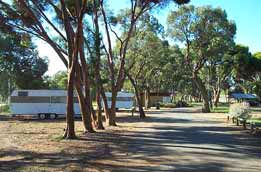 Wycheproof Caravan Park - Northern Rivers Accommodation 0