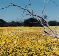 Wooleen Station - Northern Rivers Accommodation