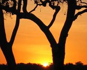 Coodardie Station Stay - Northern Rivers Accommodation 2