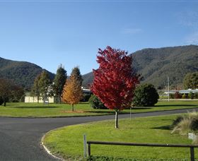 Talbingo Country Club - Northern Rivers Accommodation 0