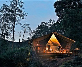 Nightfall Wilderness Camp - Northern Rivers Accommodation 0