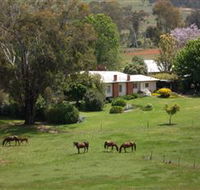 Acacia Park Farm House - Northern Rivers Accommodation