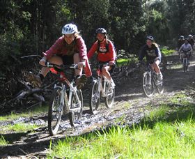 Lima East VIC Northern Rivers Accommodation