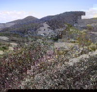Blackbird Flat Camping Ground - Northern Rivers Accommodation