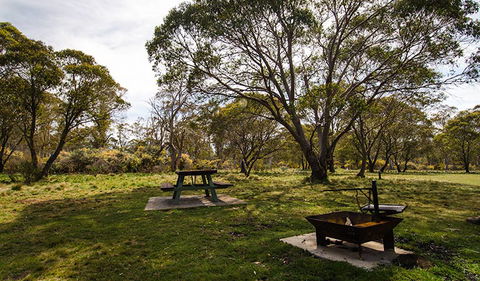 Little Murray Campground - Northern Rivers Accommodation 0