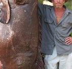 Michael's Clarence Valley Retreat - Northern Rivers Accommodation