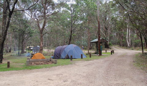 Native Dog Campground - Northern Rivers Accommodation 0