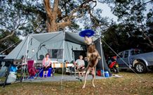 North Coast Holiday Parks North Haven - Northern Rivers Accommodation 6