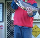 Rainbow Pines Tourist Caravan Park - Northern Rivers Accommodation