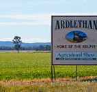 The Ardlethan Kelpie Caravan Park - Northern Rivers Accommodation