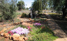 The Old School Caravan Park - Northern Rivers Accommodation 3