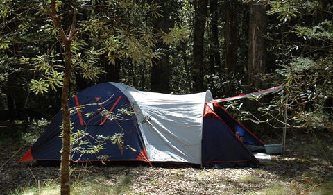 Thungutti Campground - Northern Rivers Accommodation 0