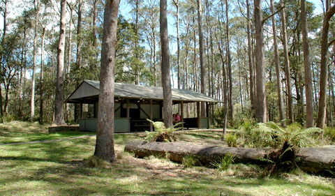 Thungutti Campground - Northern Rivers Accommodation 1