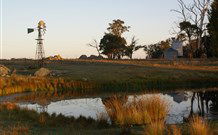 Warreen Farmstay Rural Accommodation - Northern Rivers Accommodation 1