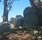 Warreen Farmstay Rural Accommodation - Northern Rivers Accommodation