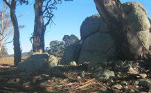 Warreen Farmstay Rural Accommodation - Northern Rivers Accommodation 0