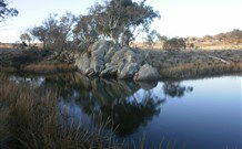 Warreen Farmstay Rural Accommodation - Northern Rivers Accommodation 4